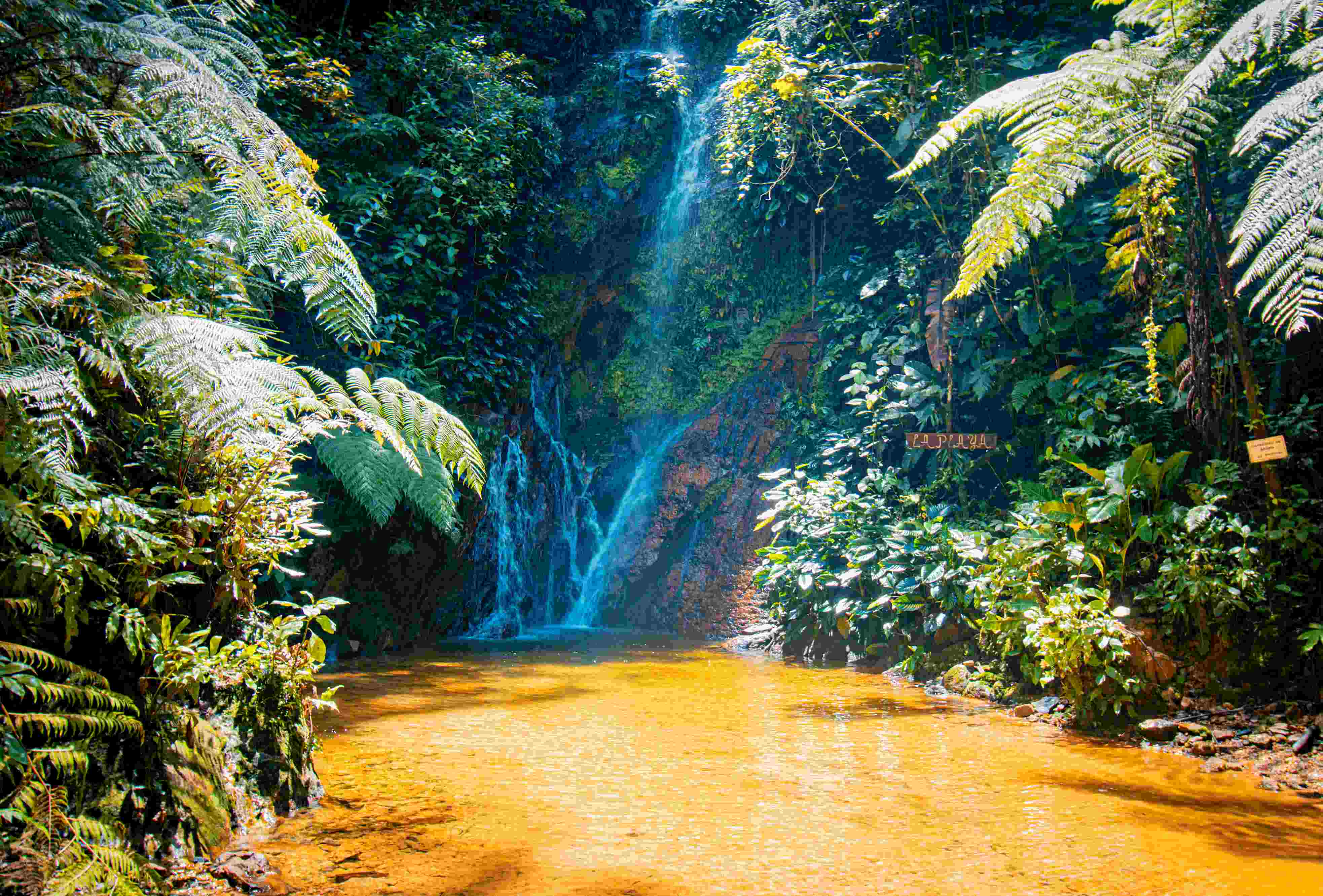 PAQUETE TURISTICO TARAPOTO 5D/4N