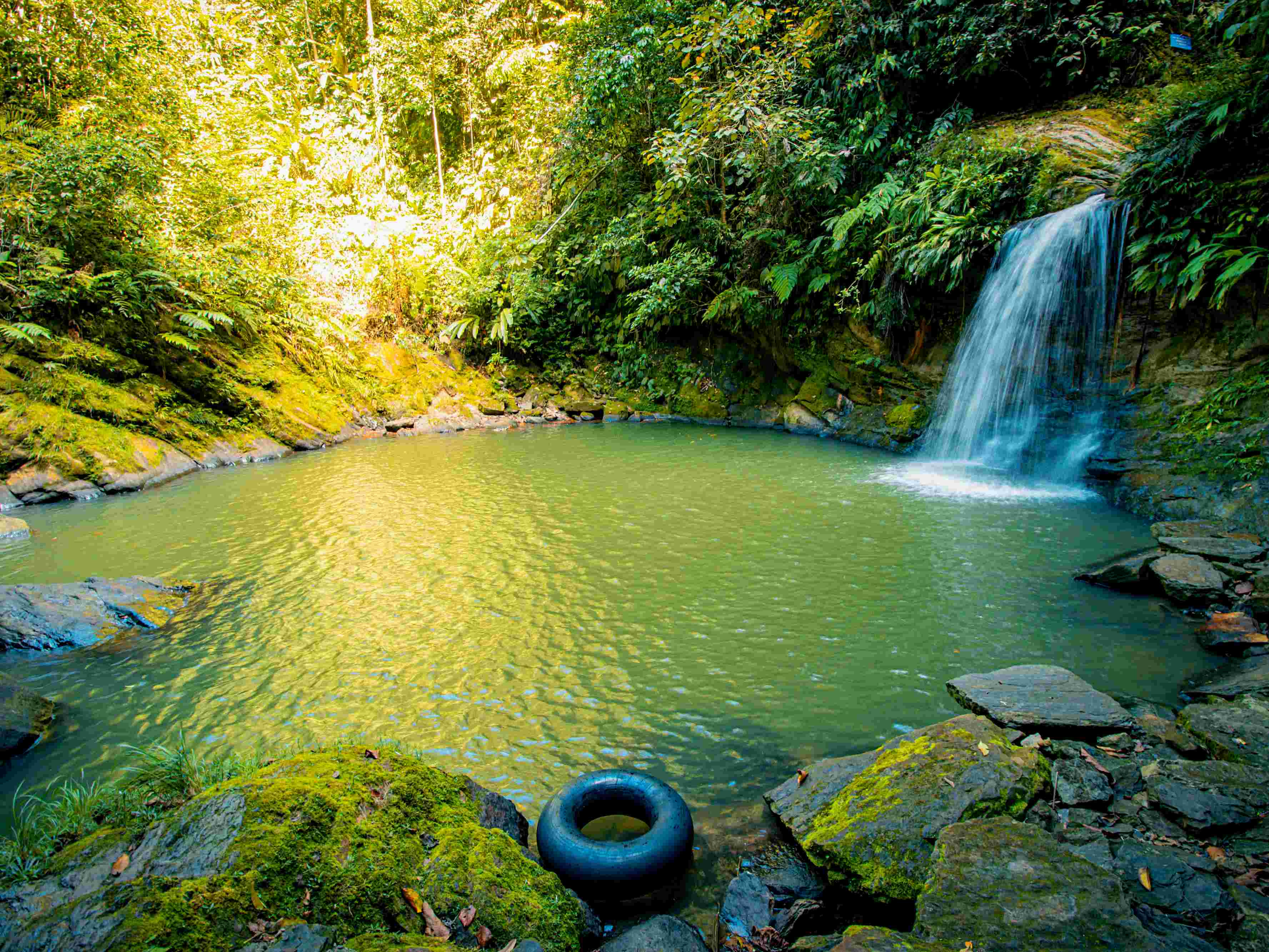 TOUR CASCADA DE PISHURAYACU / CARPISHUYACU