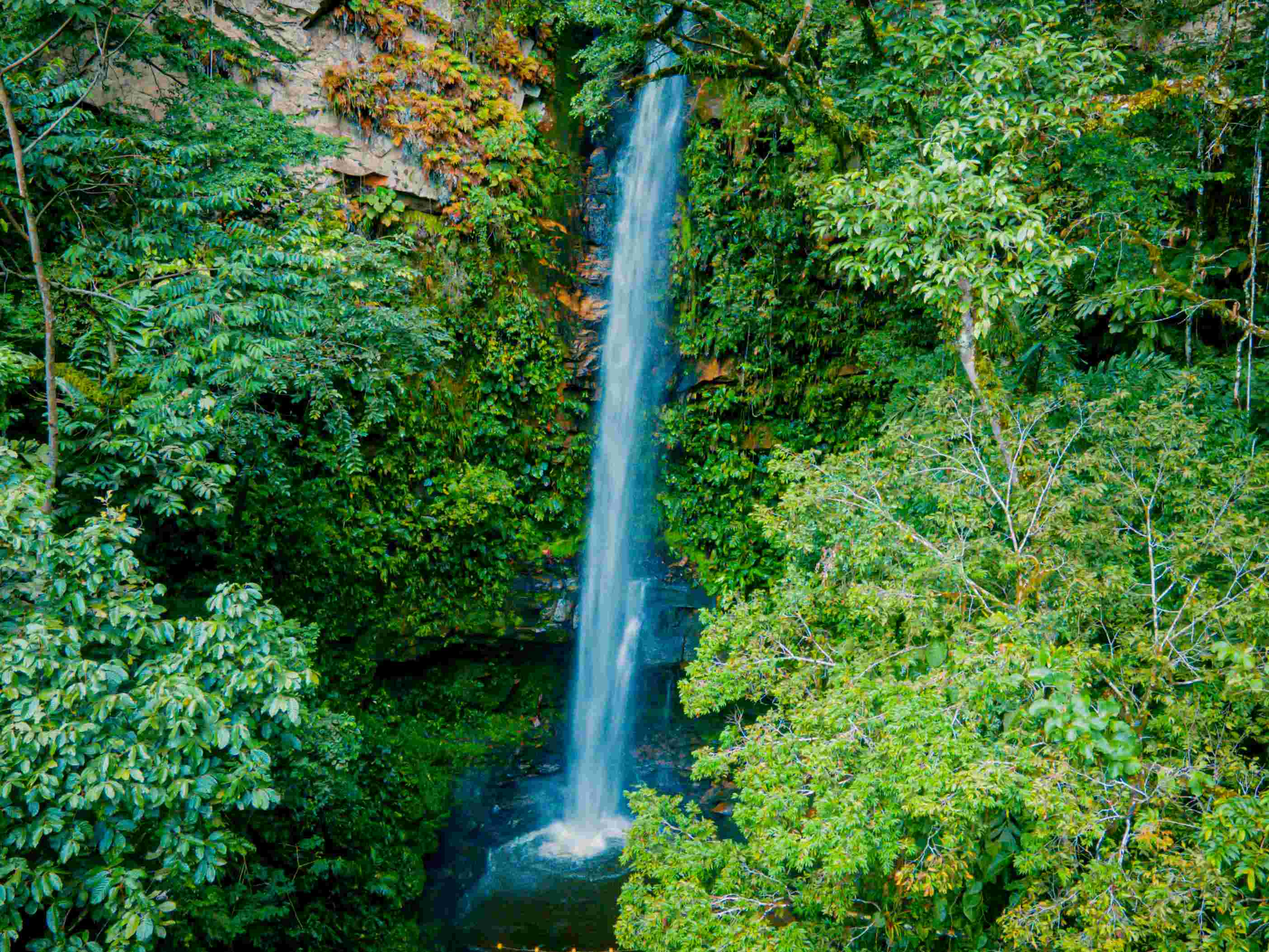 TOUR CATARATA DE AHUASHIYACU
