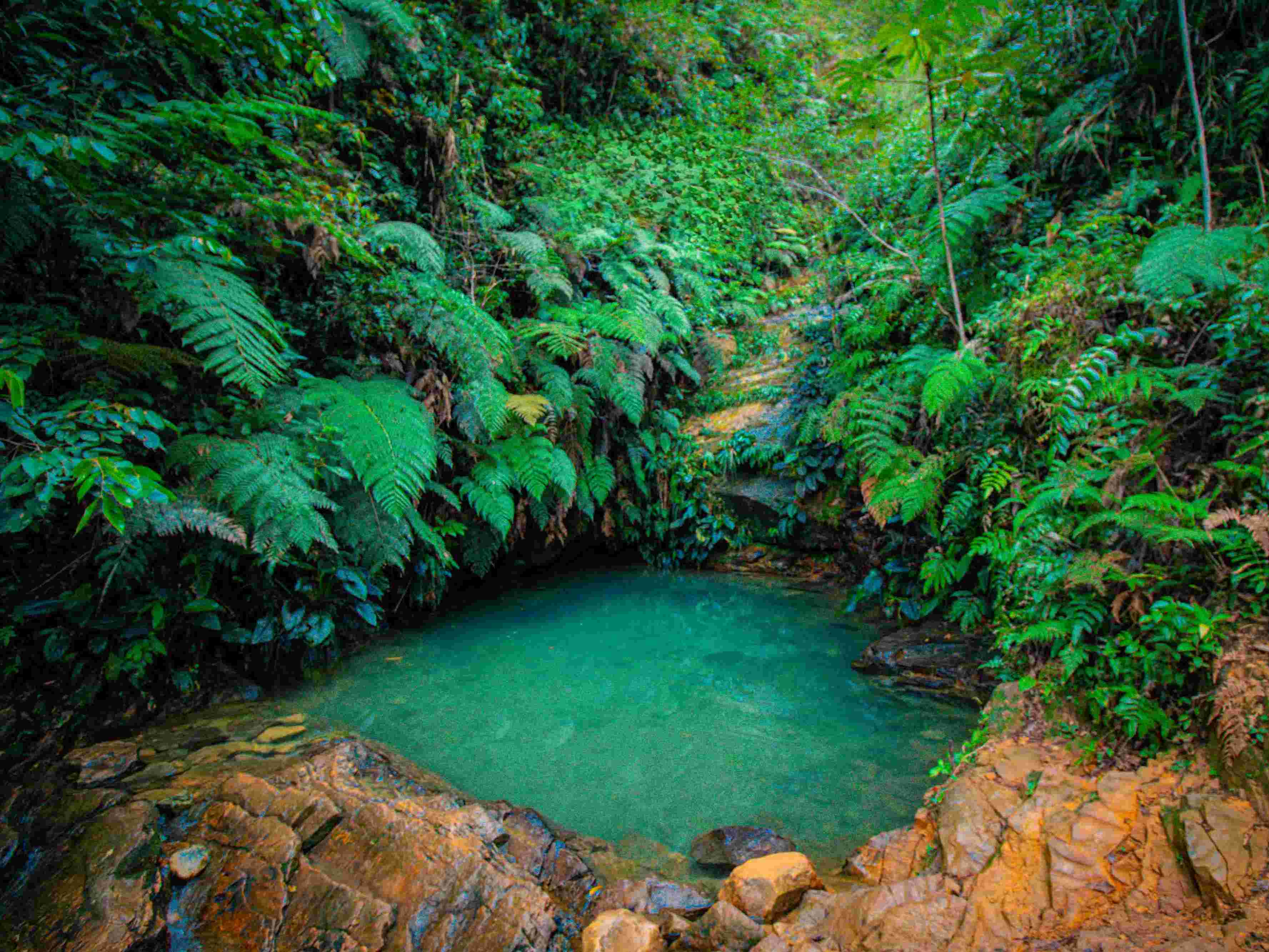 TOUR CASCADA SALTO DE BRUJA